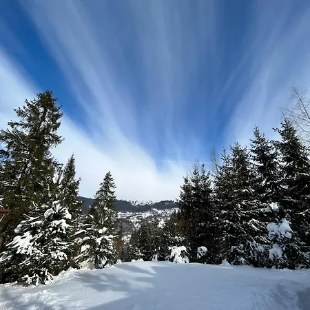 Locanda Respect Mykulychyn