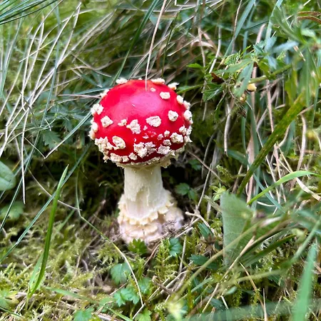 Respect Locanda Mykulychyn