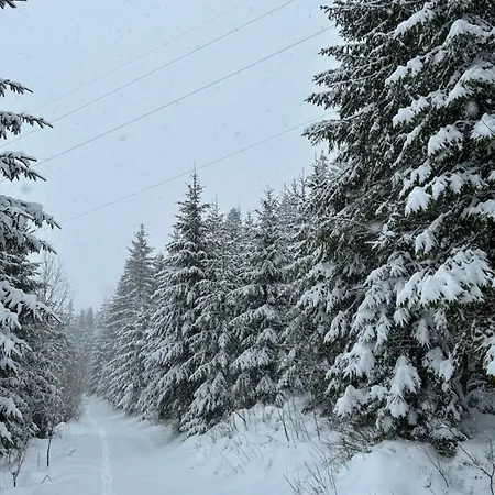 Respect 여관 미쿨리친