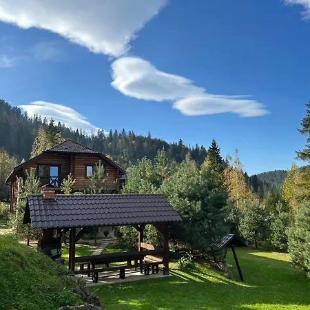 Respect 미쿨리친