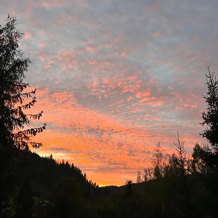 여관 Respect 미쿨리친