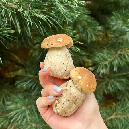 Respect 미쿨리친