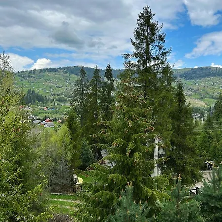 Respect 미쿨리친