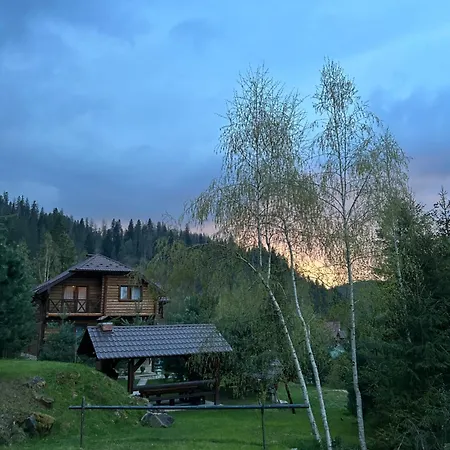 Respect 미쿨리친